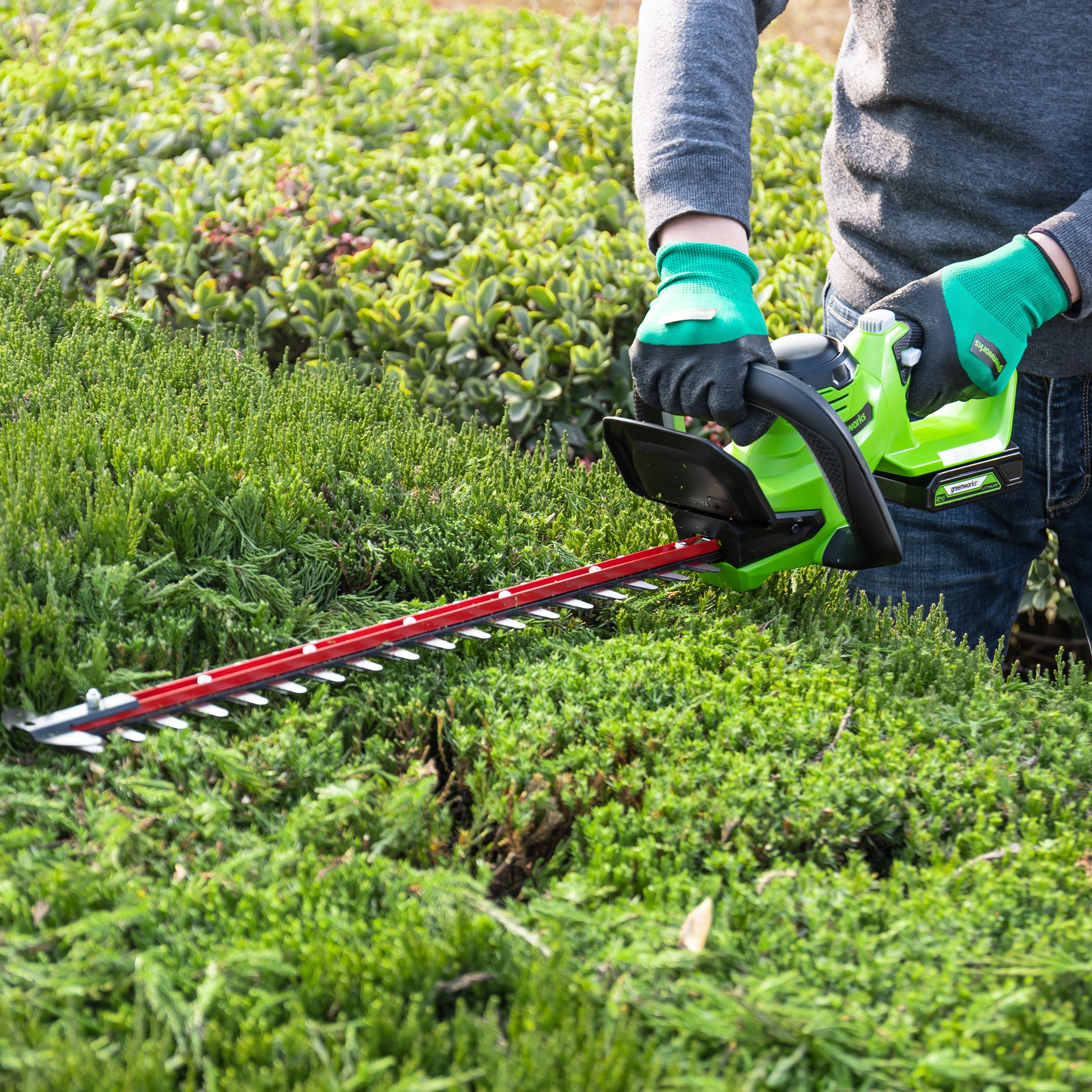 24V Hedge Trimmer 61cm - 2Ah Battery