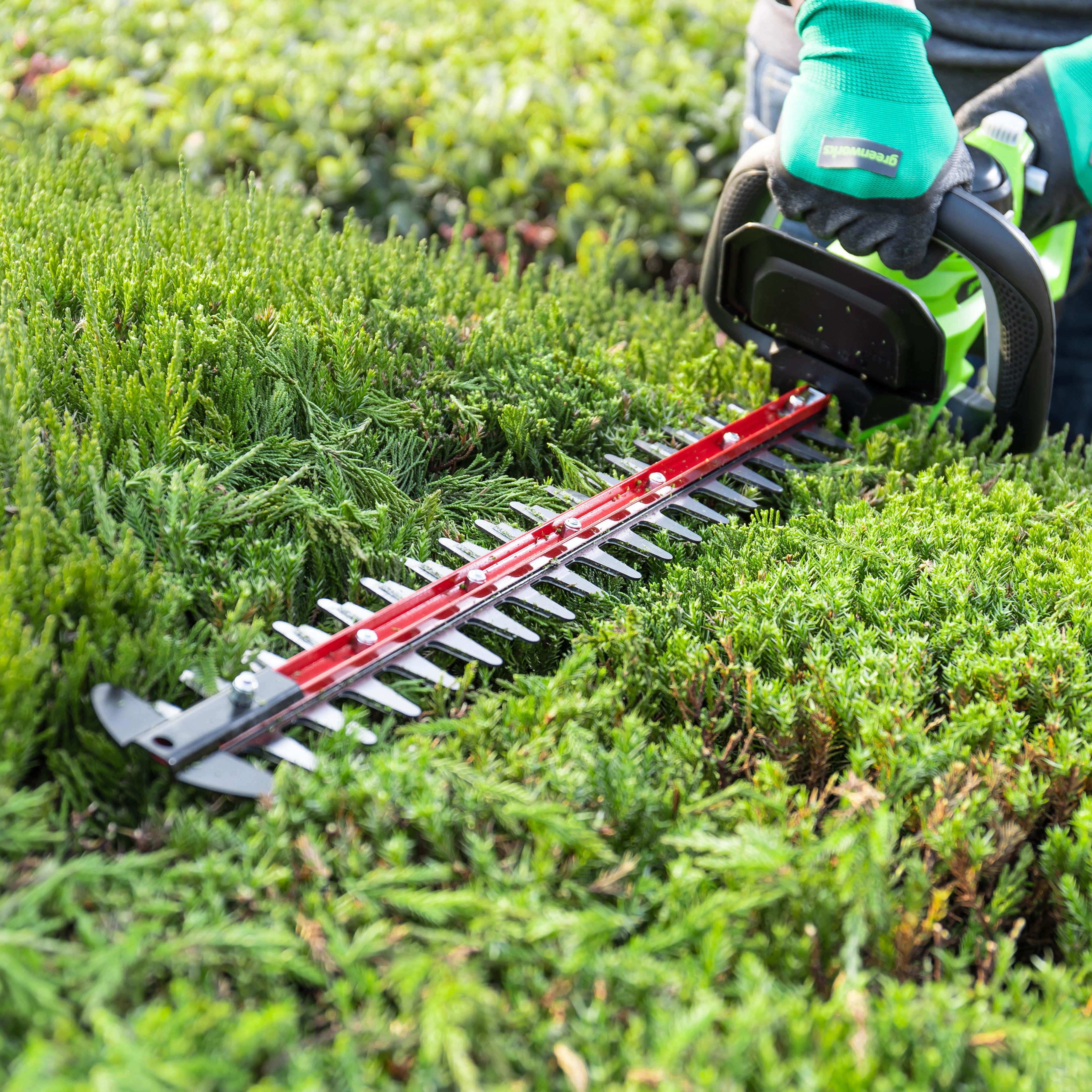 24V Hedge Trimmer 61cm - 2Ah Battery