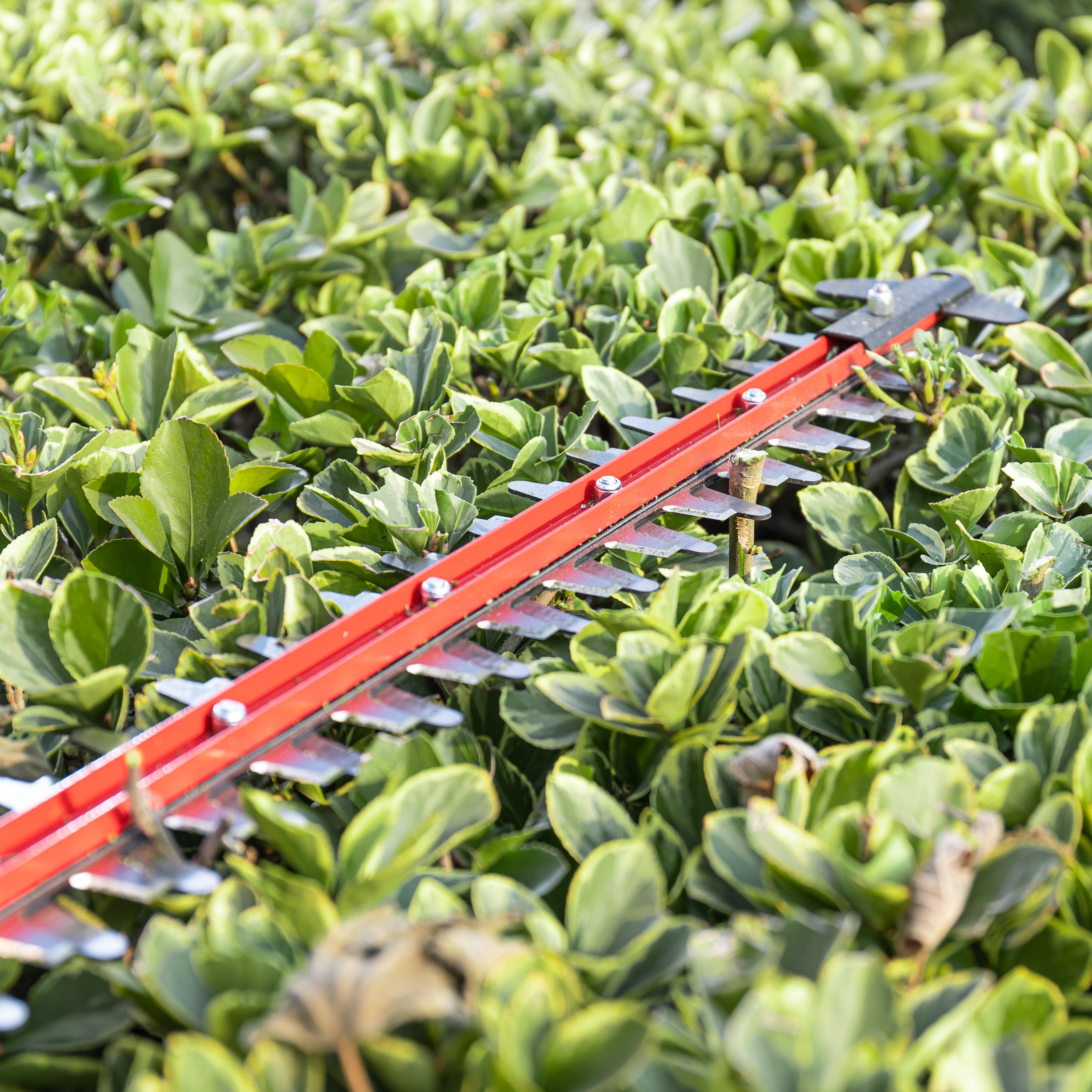24V Hedge Trimmer 61cm - 2Ah Battery