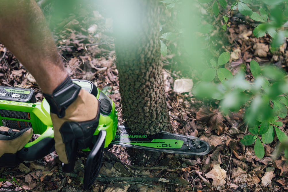 POWERALL 24V Chainsaw 25cm - 2Ah Battery
