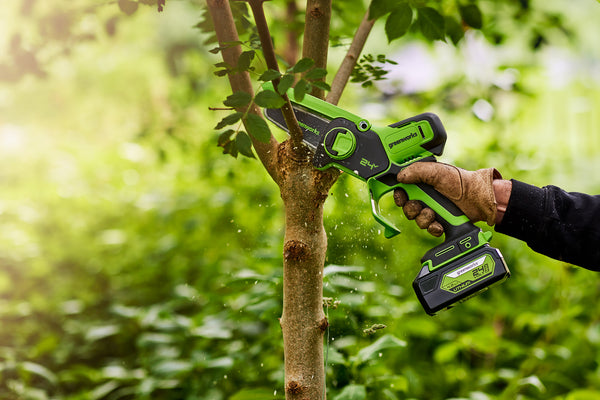 24V Mini Chainsaw - 2Ah Battery