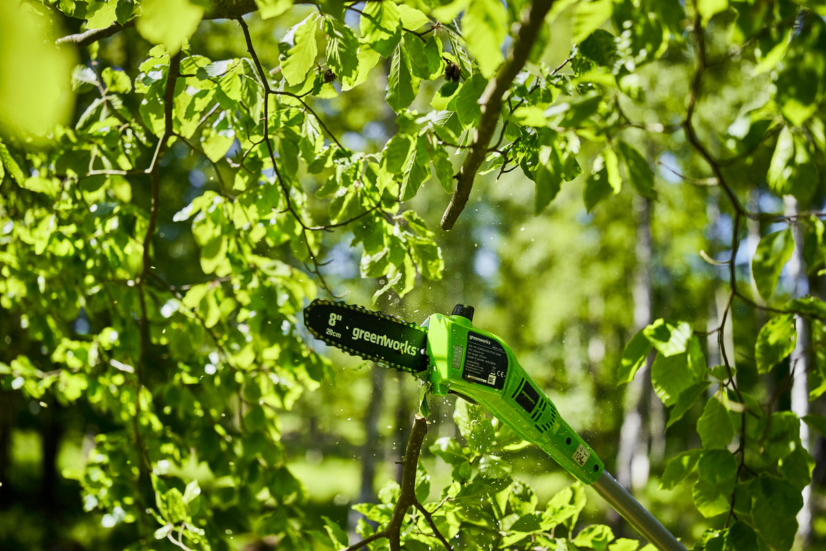 24V Pole Saw - 2Ah Battery