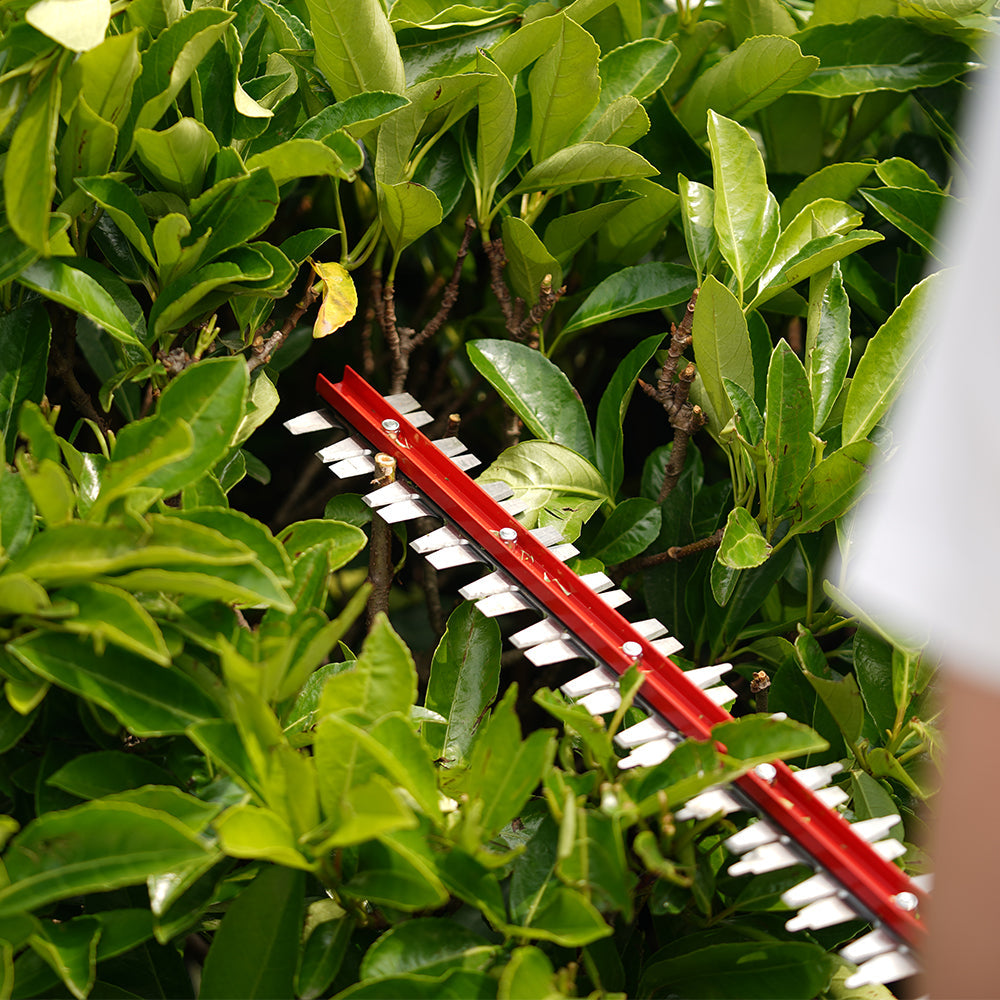 40V Hedge Trimmer 61cm - 2Ah Battery