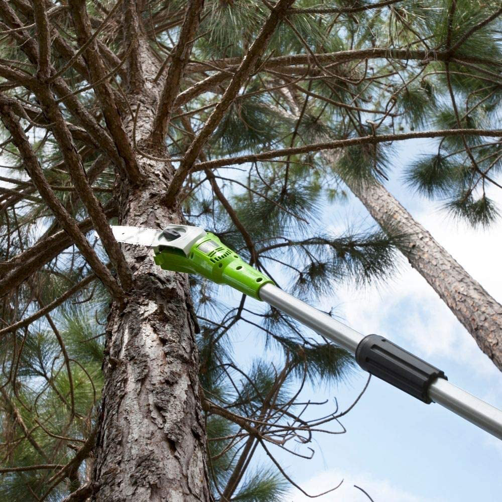 40V Pole Saw 20cm - 2Ah Battery