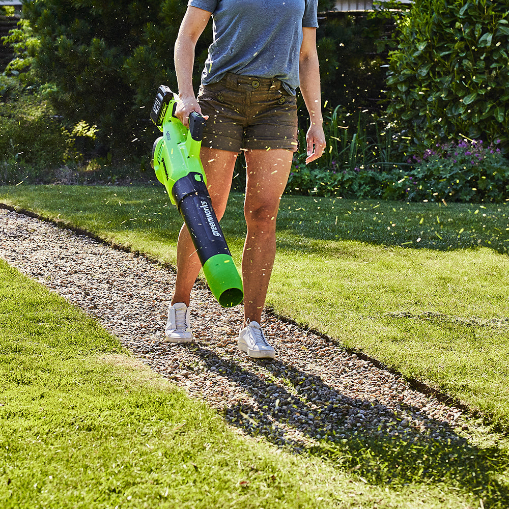 POWERALL 48V (24V x 2) Leaf Blower 217 km/h - 2x 2Ah Battery