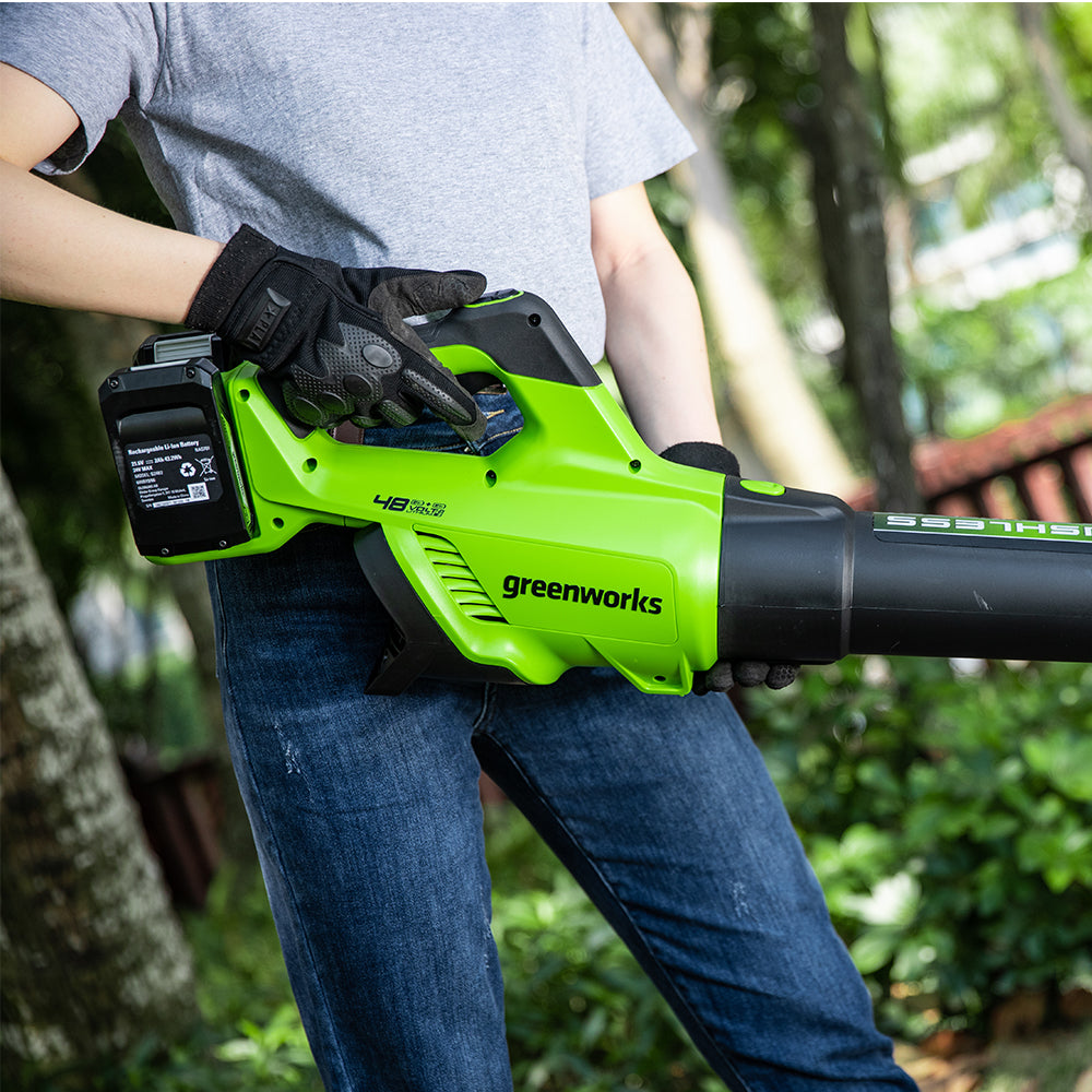 POWERALL 48V (24V x 2) Leaf Blower 217 km/h - 2x 2Ah Battery