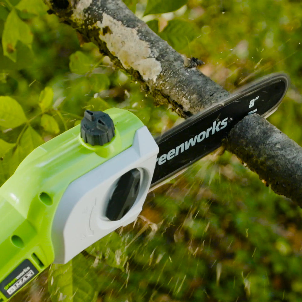 40V Pole Saw 20cm - 2Ah Battery