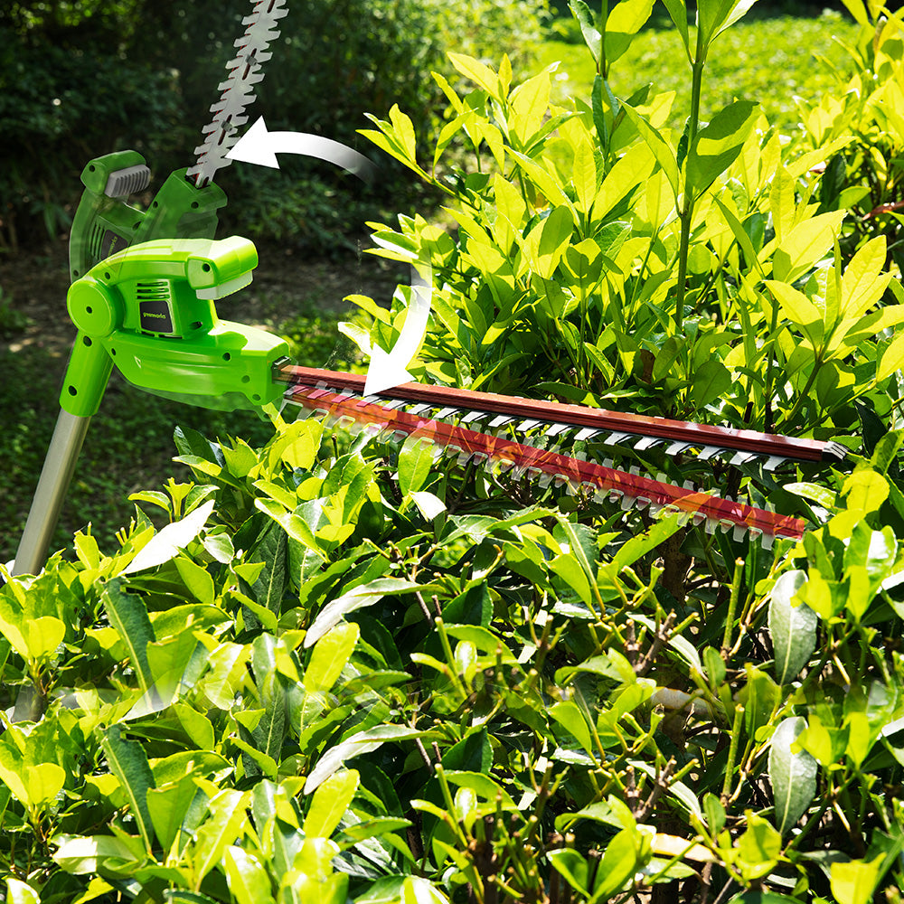 24V Pole Saw & Pole Hedge Trimmer - tool only