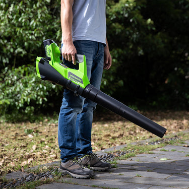 40V Leaf Blower 177 km/h - 2Ah Battery