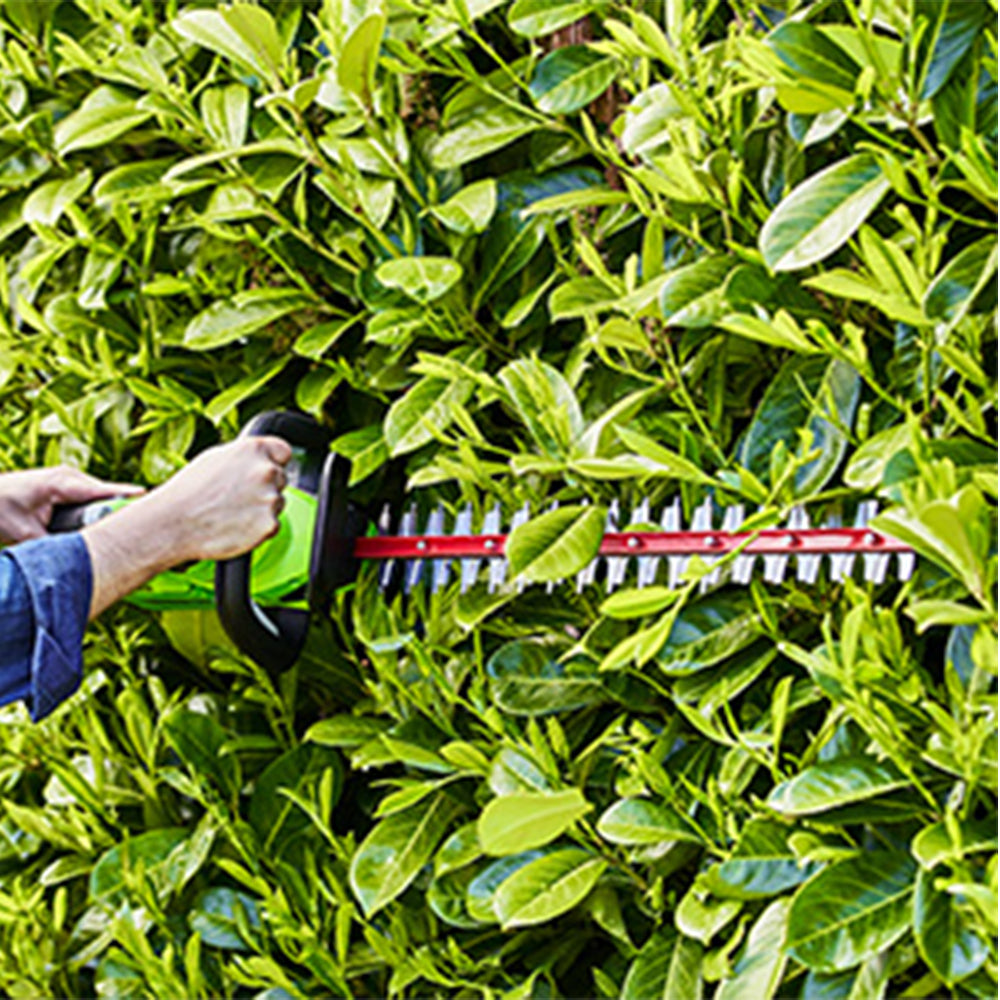 40V Hedge Trimmer 61cm - 2Ah Battery