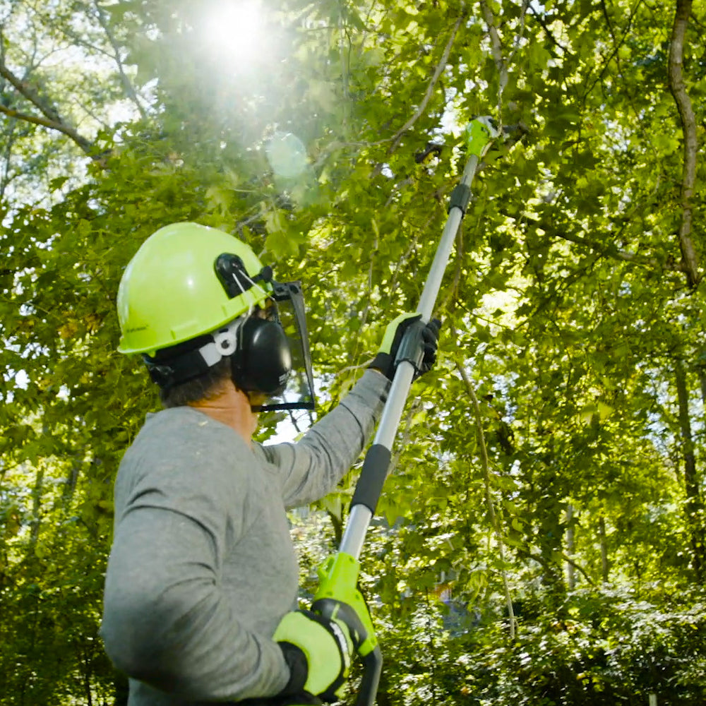 40V Pole Saw 20cm - 2Ah Battery