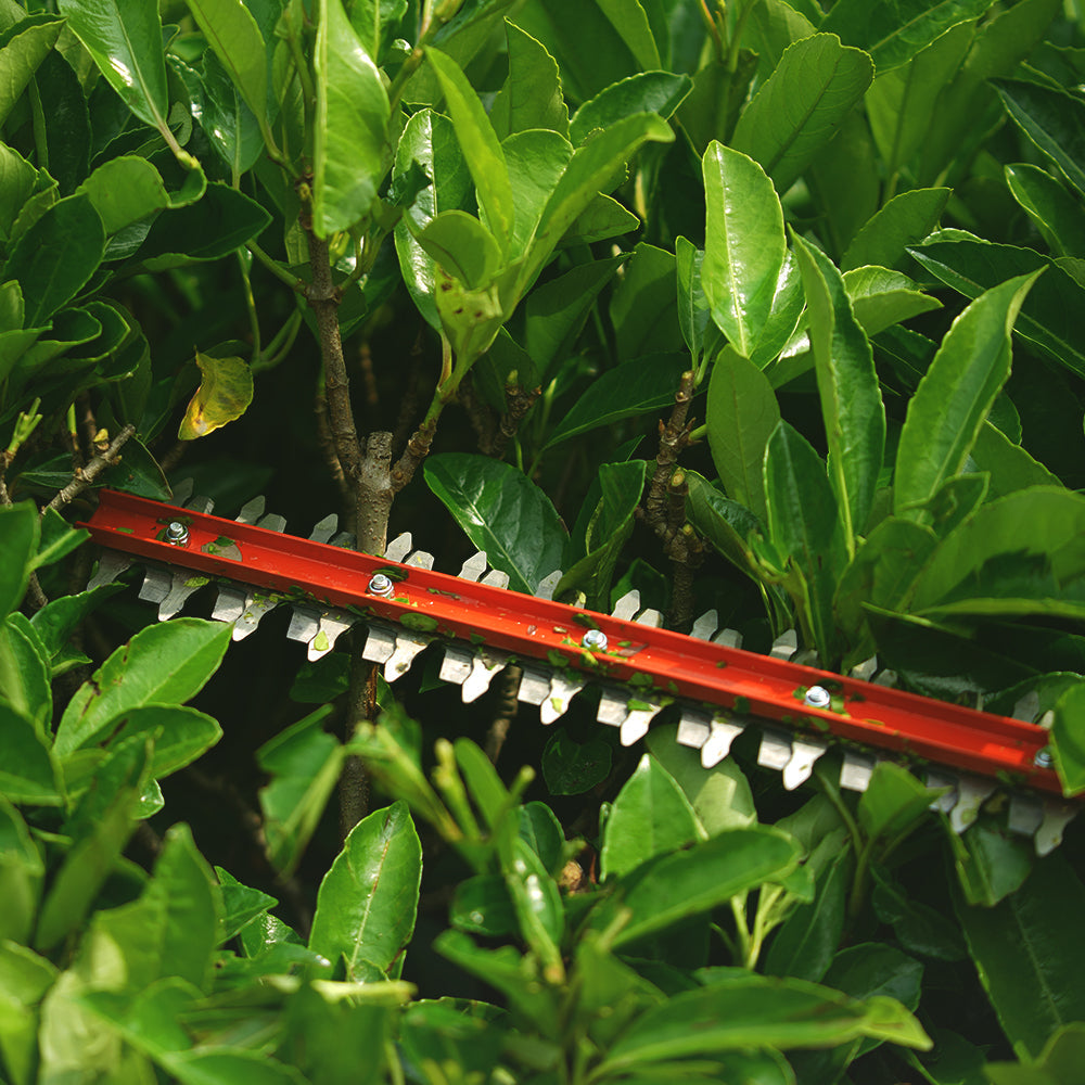 40V Hedge Trimmer 61cm - 2Ah Battery
