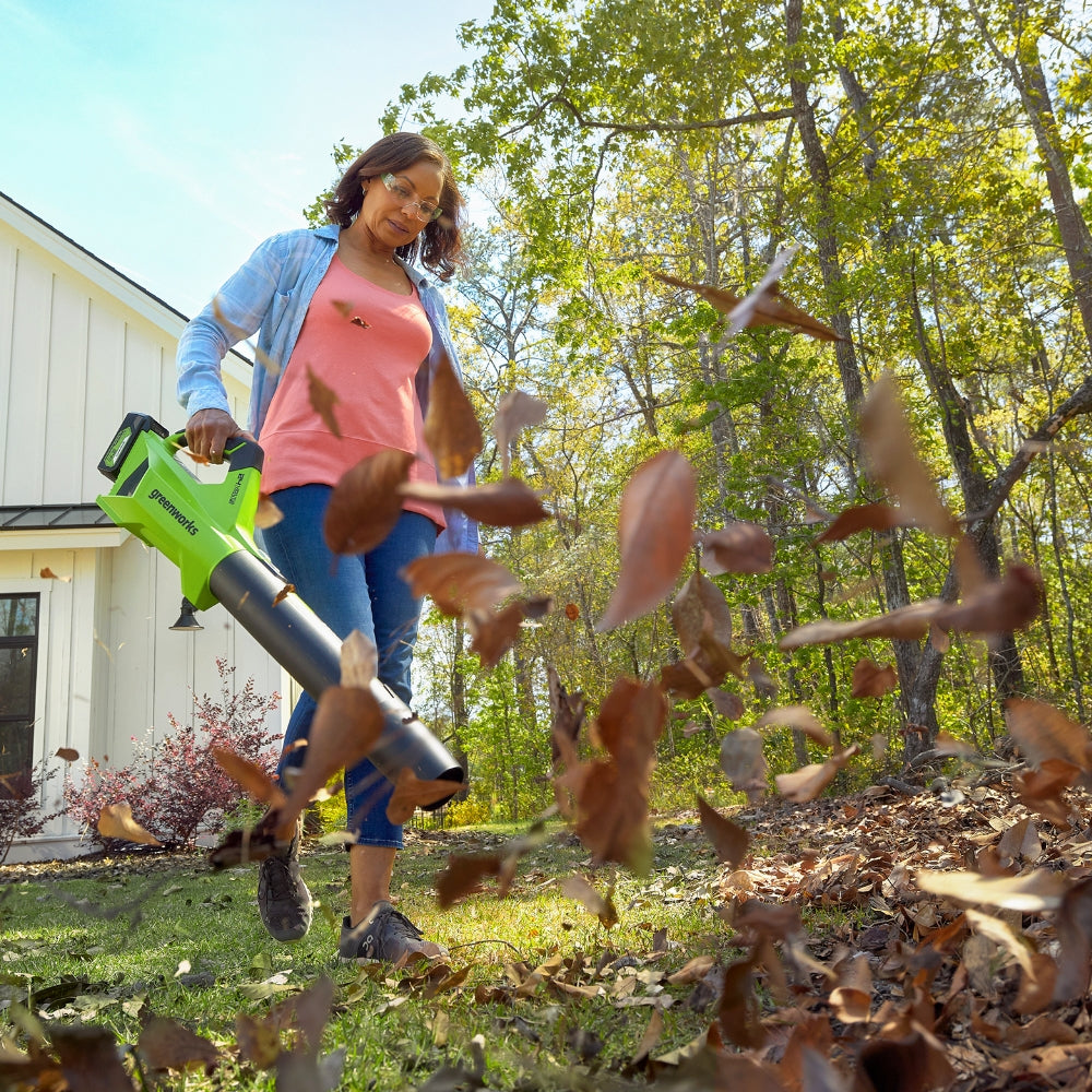 POWERALL 24V Leaf Blower 177 km/h - 4Ah Battery