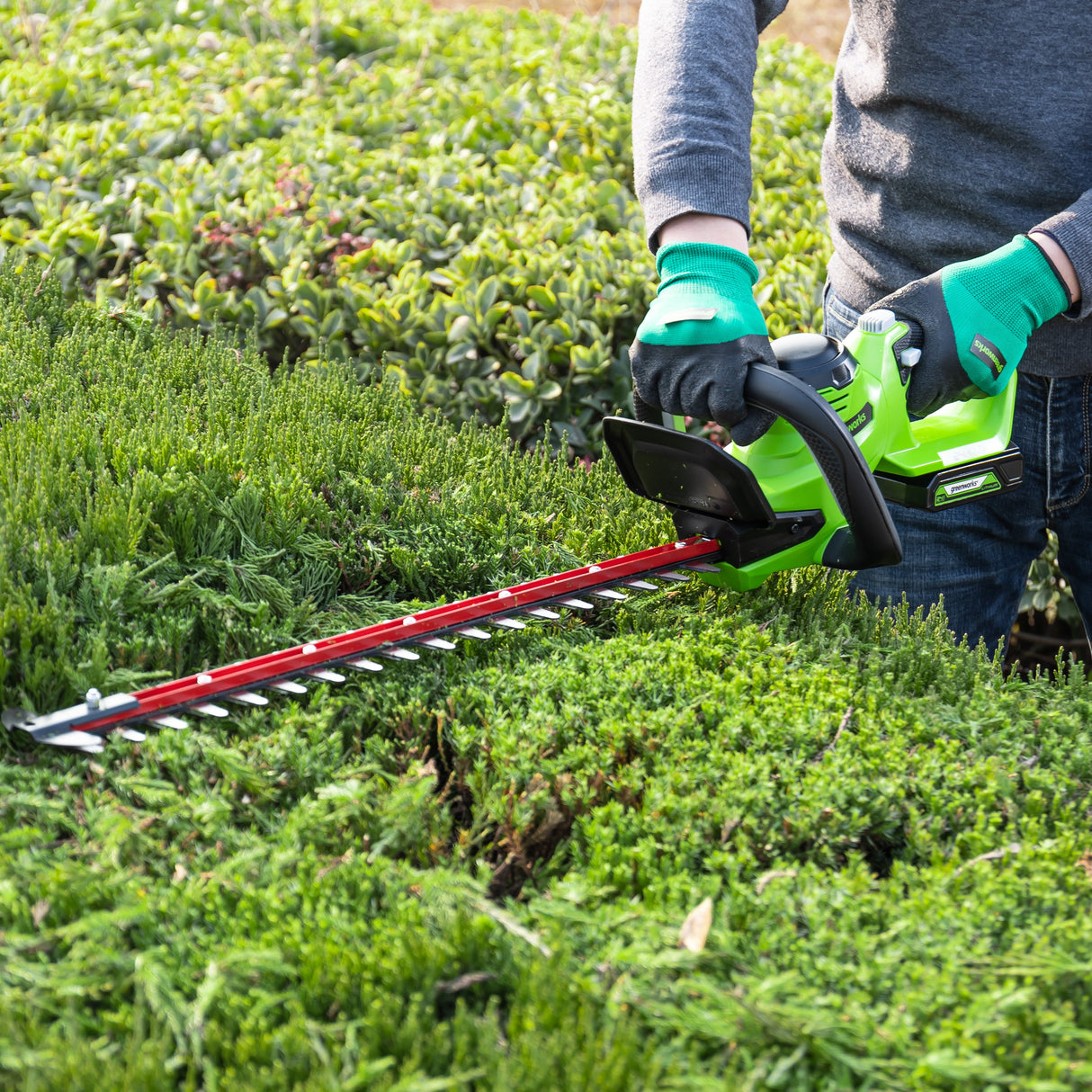 POWERALL 24V Hedge Trimmer 61cm - 2Ah Battery