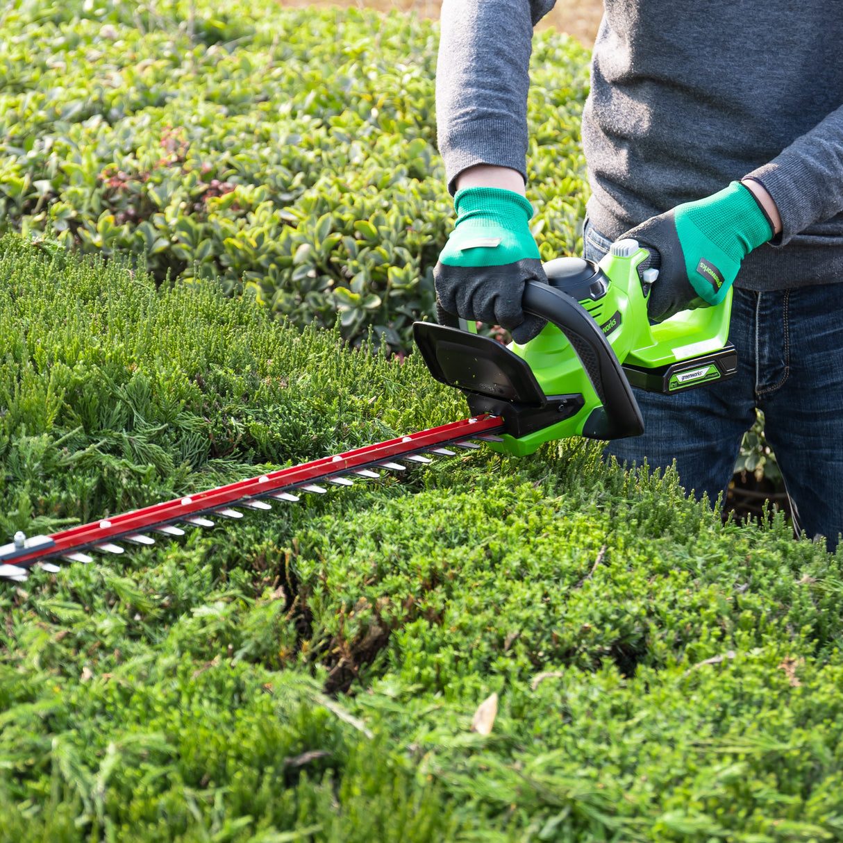 POWERALL 24V Grass Trimmer 30cm + Hedge Trimmer 61cm Set