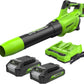 48V (24V x 2) Leaf Blower 217 km/h - 2x 2Ah Battery