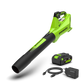 24V Leaf Blower 177 km/h - 4Ah Battery