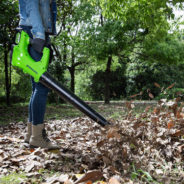 24V Leaf Blower 161 km/h - 2Ah Battery