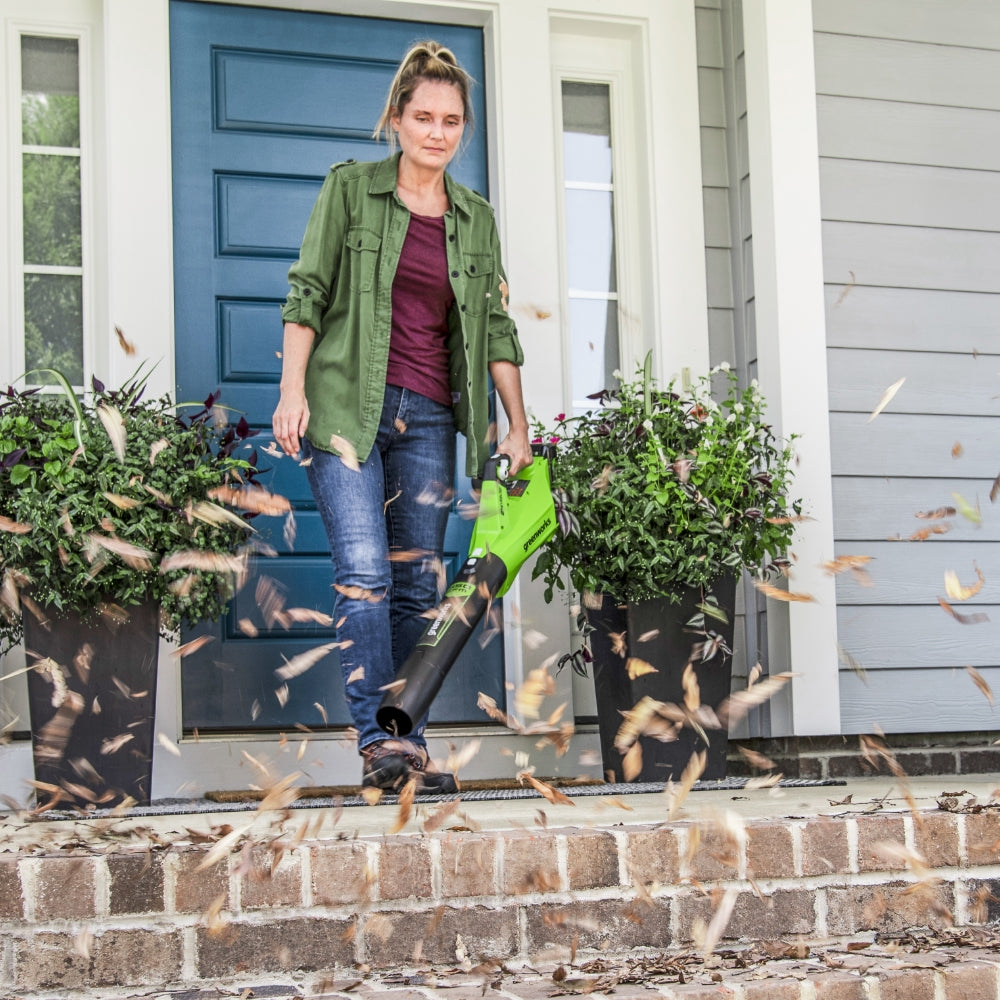 24V Leaf Blower 177 km/h - tool only