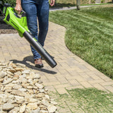 POWERALL 24V Leaf Blower 177 km/h - 4Ah Battery