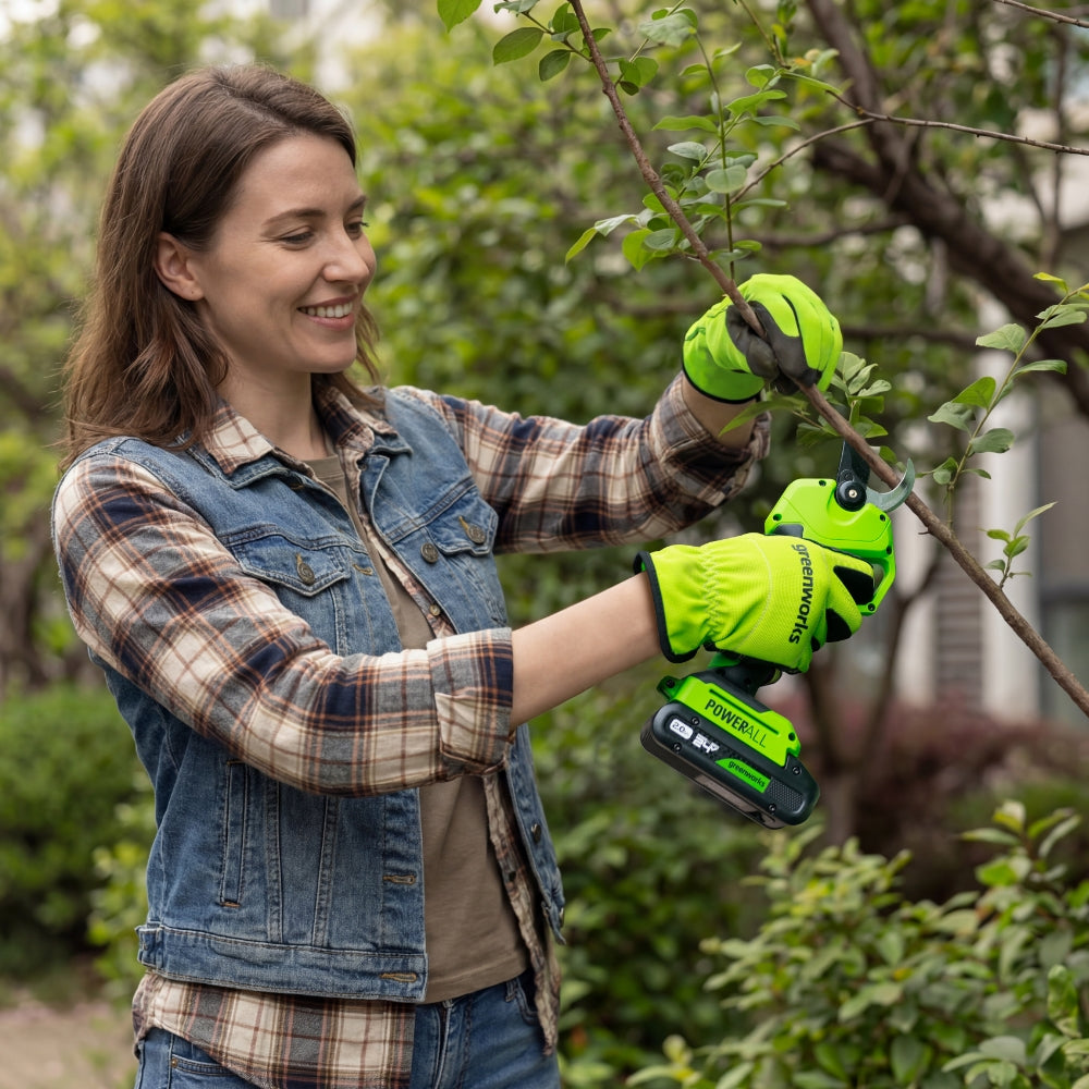 POWERALL 24V Pruning Shear with Extension Pole - 2Ah Battery