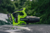 POWERALL 24V Leaf Blower 209 km/h - tool only