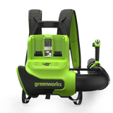 POWERALL 48V (24V x 2) Backpack Leaf Blower 297 km/h - tool only