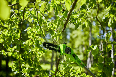 24V Pole Saw - tool only