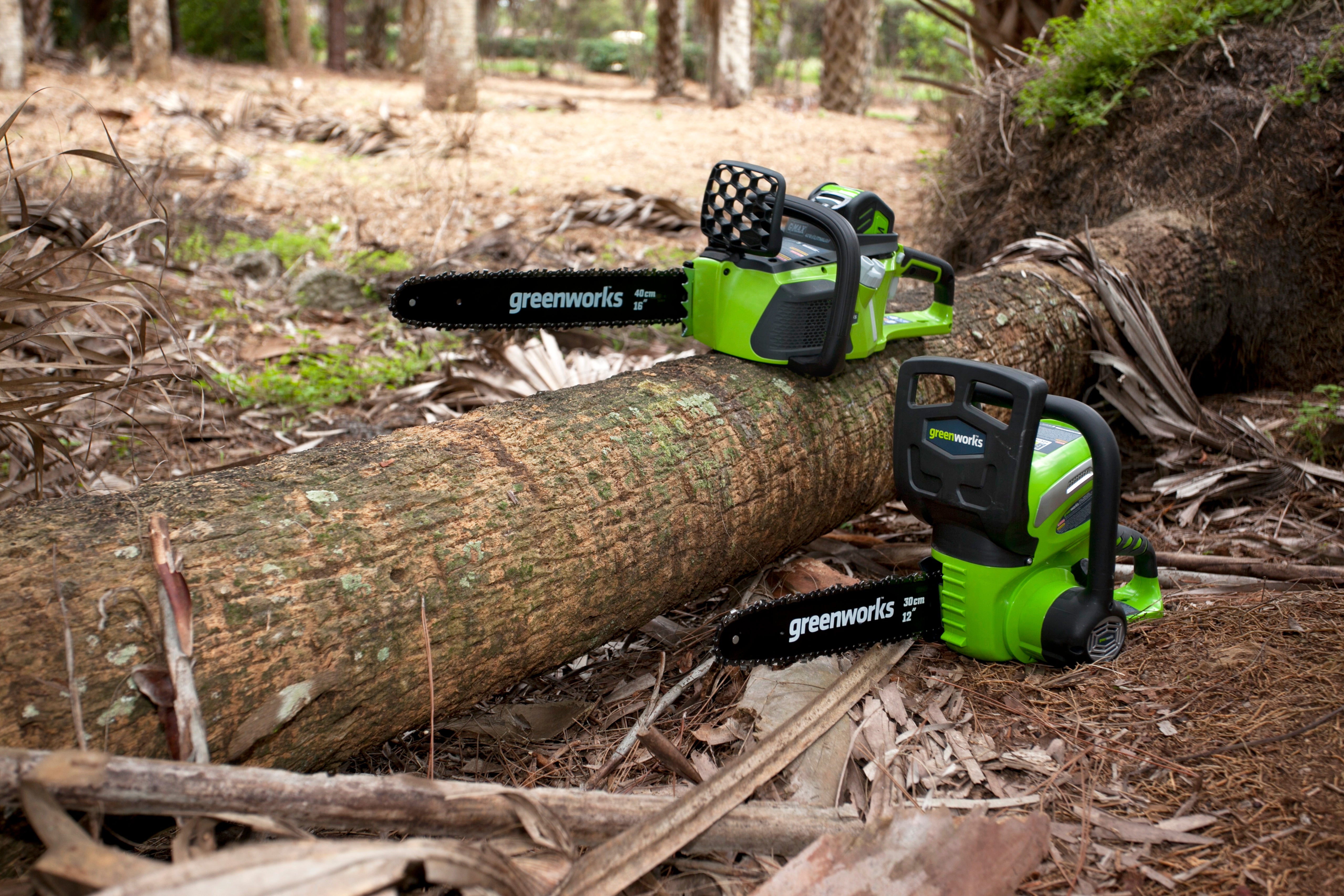 40V Chainsaw 30cm - 2Ah Battery