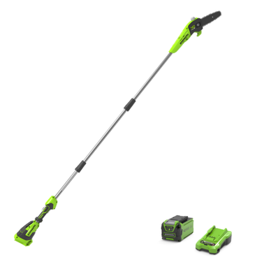 40V Pole Saw 20cm Gen II - 2Ah Battery