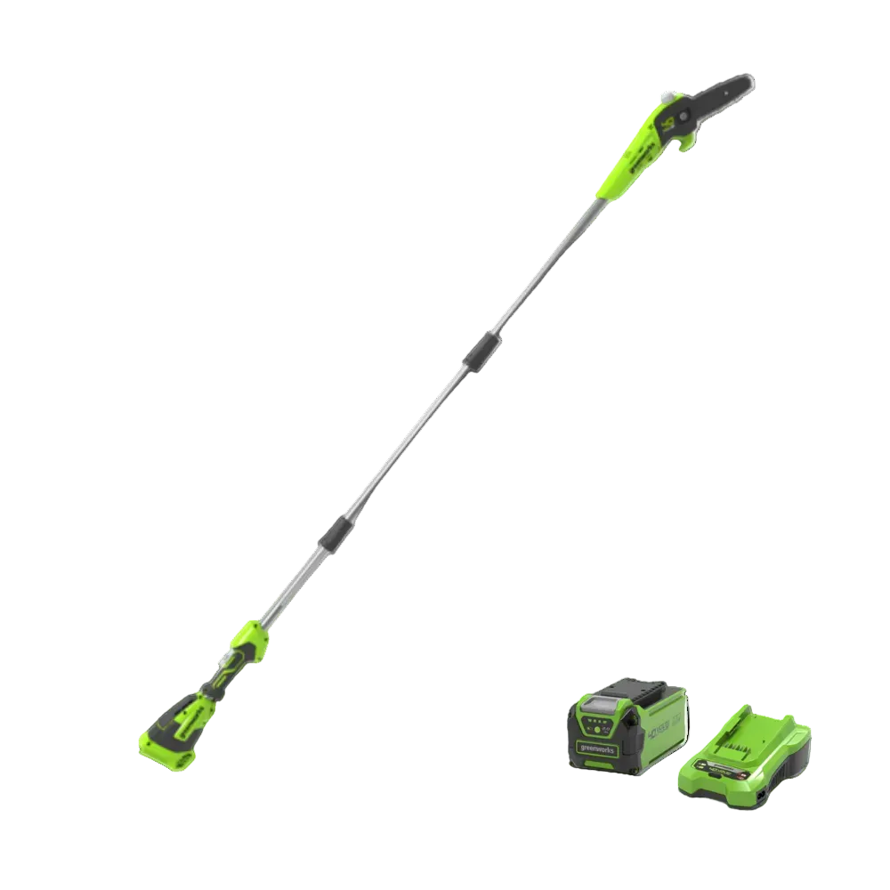 40V Pole Saw 20cm Gen. II - 2Ah Battery