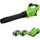 40V Leaf Blower Gen. II 210 km/h - 2x 2Ah Battery