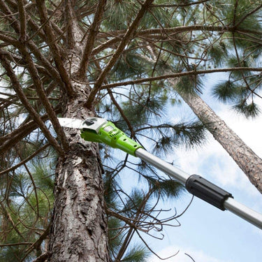 40V Pole Saw 20cm - 2Ah Battery