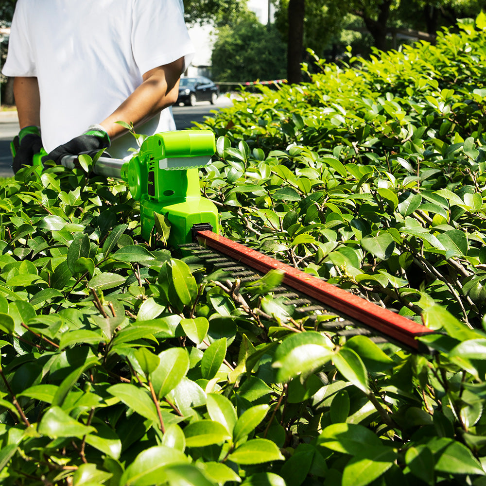 POWERALL 24V Pole Saw & Pole Hedge Trimmer - tool only