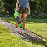 POWERALL 48V (24V x 2) Leaf Blower 217 km/h - 2x 2Ah Battery