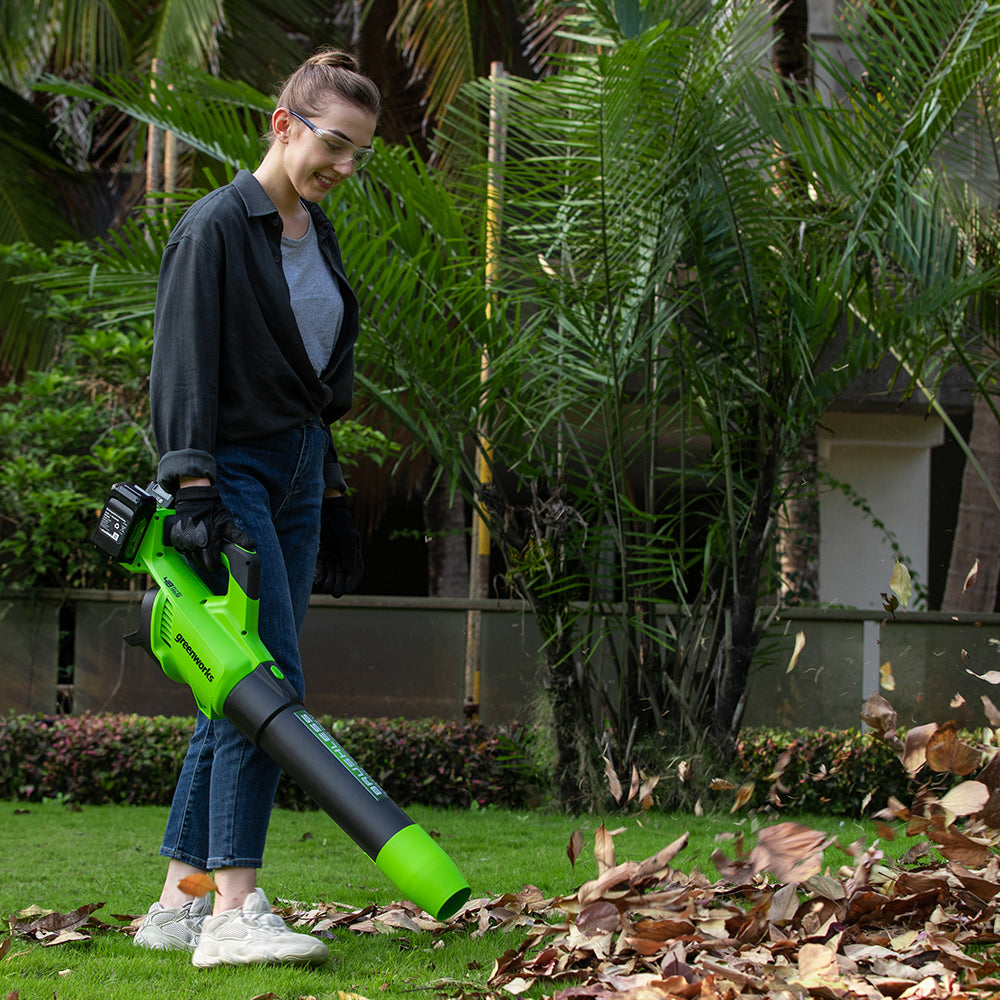 POWERALL 48V (24V x 2) Leaf Blower 217 km/h - 2x 2Ah Battery