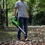 40V Leaf Blower 177 km/h - 2Ah Battery