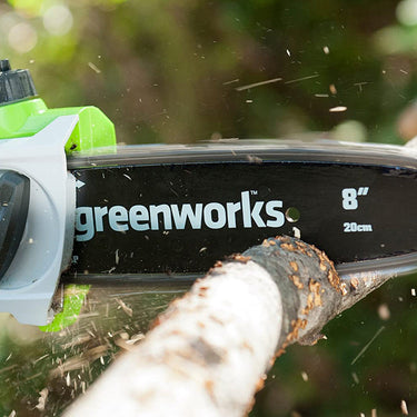 40V Pole Saw 20cm - 2Ah Battery
